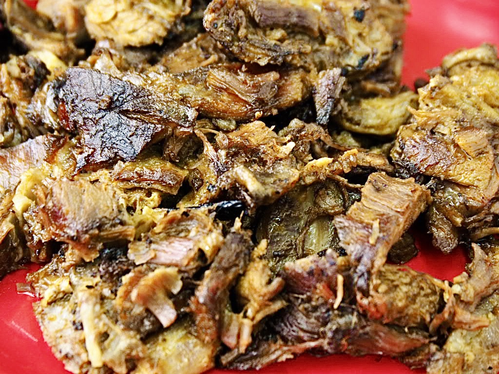 Birria tatemada de cerca, con el borde tostado, sobre plato rojo